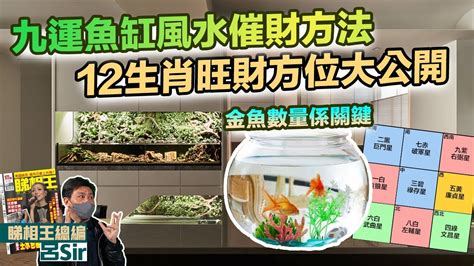 1980年農曆生肖 空魚缸怎麼辦